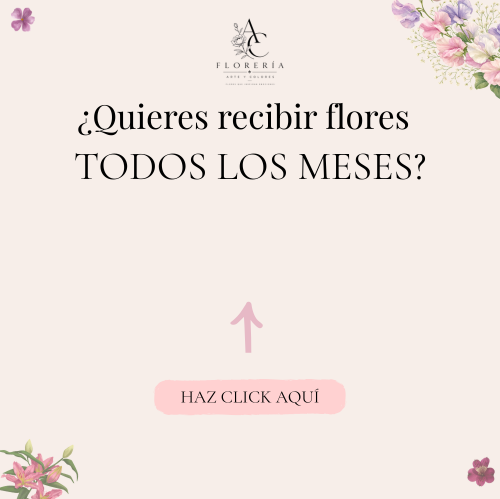 Floreria Arte y Colores