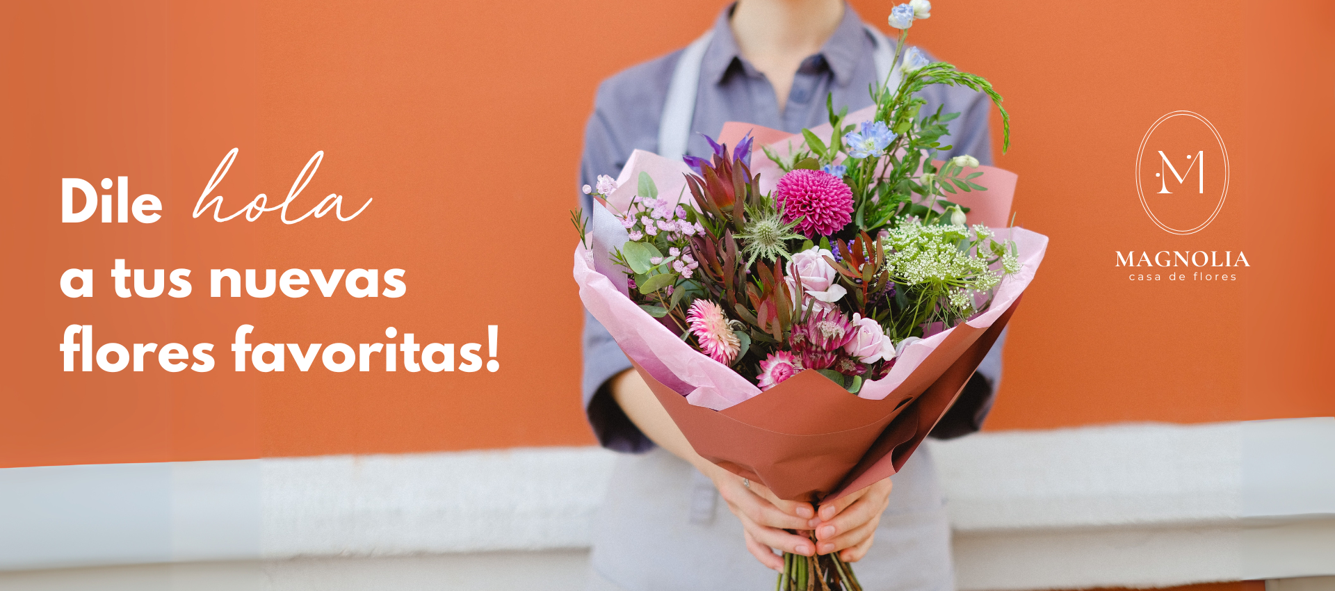 Título de la Sección