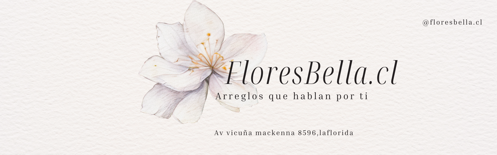 Flores Bella