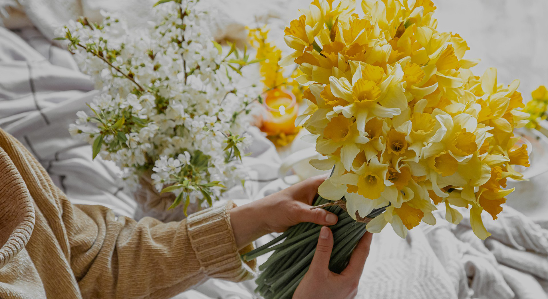 Fresh Spring Flowers