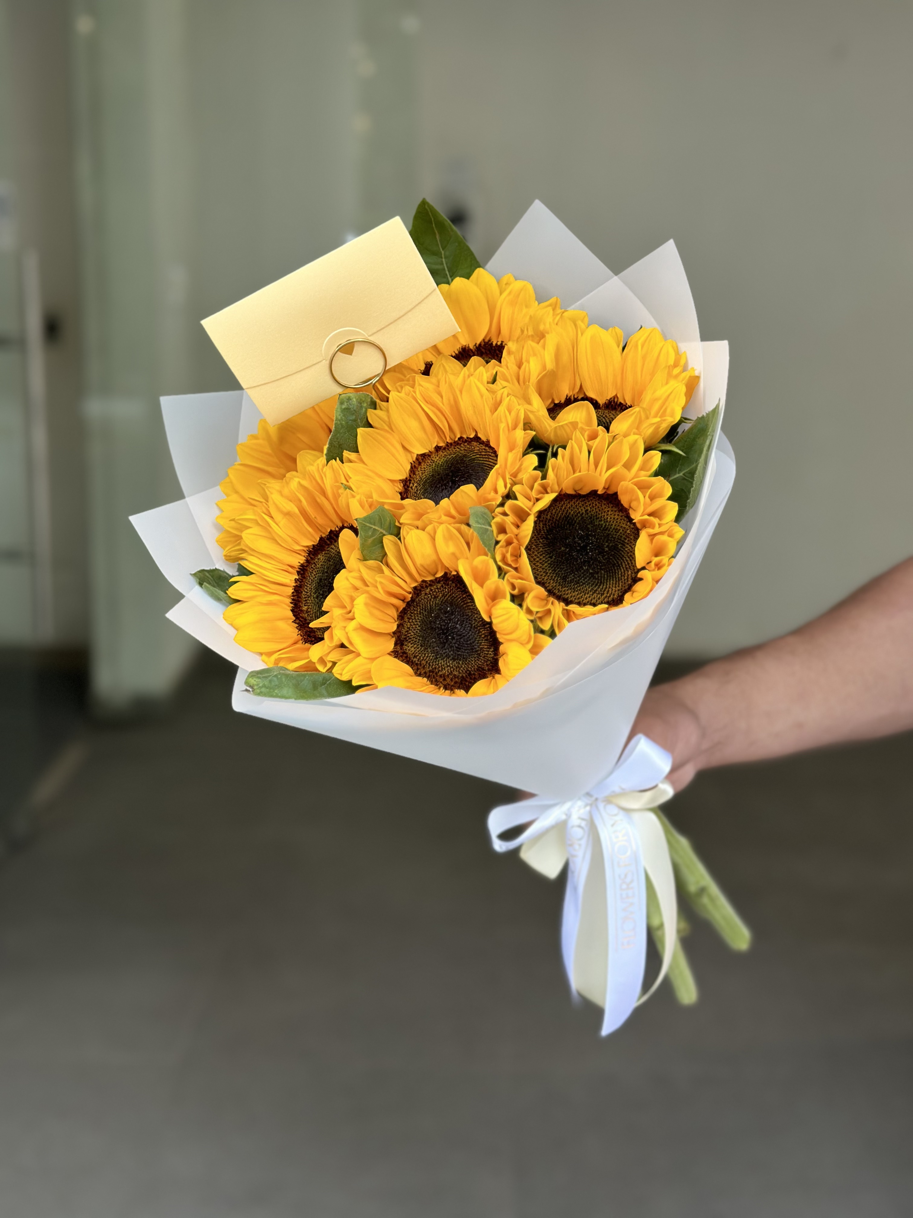 Girasoles🌻