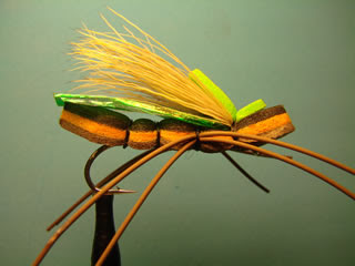 Moscas - Fly cast