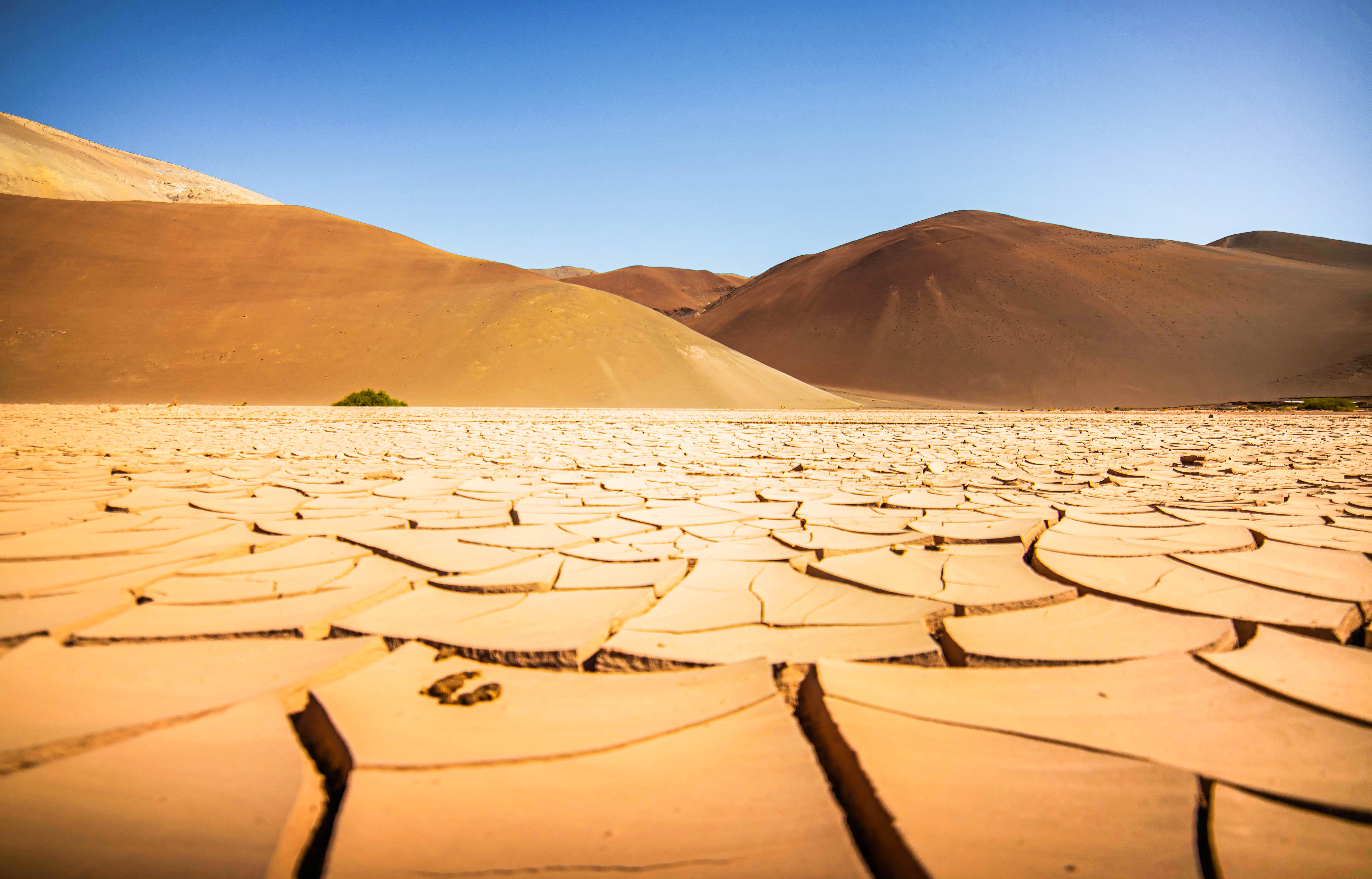 Descubre la magia de Atacama