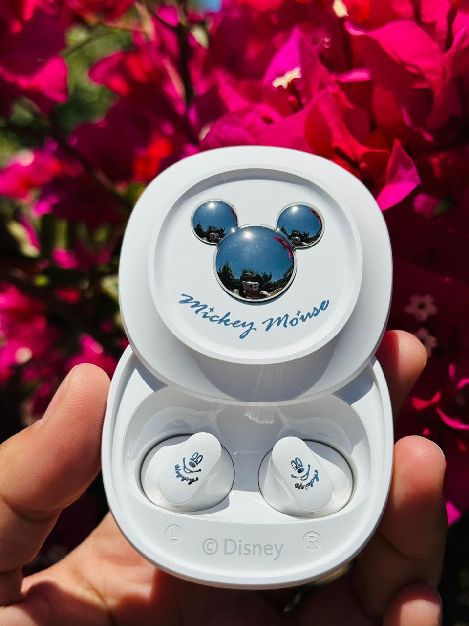 <i><b>ACCESORIOS</b></i><br>