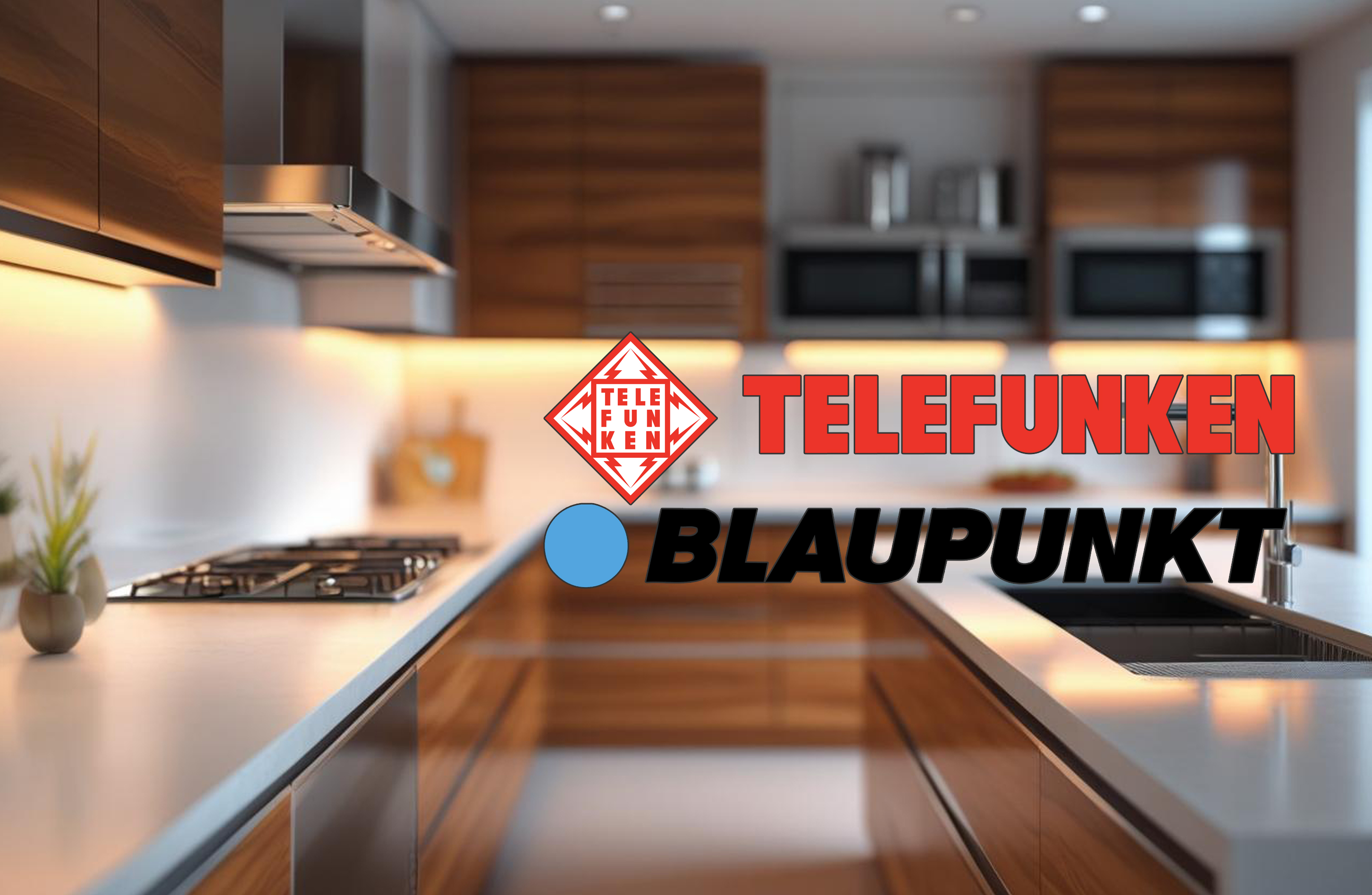 <b>TELEFUNKEN & BLAUPUNKT</b>