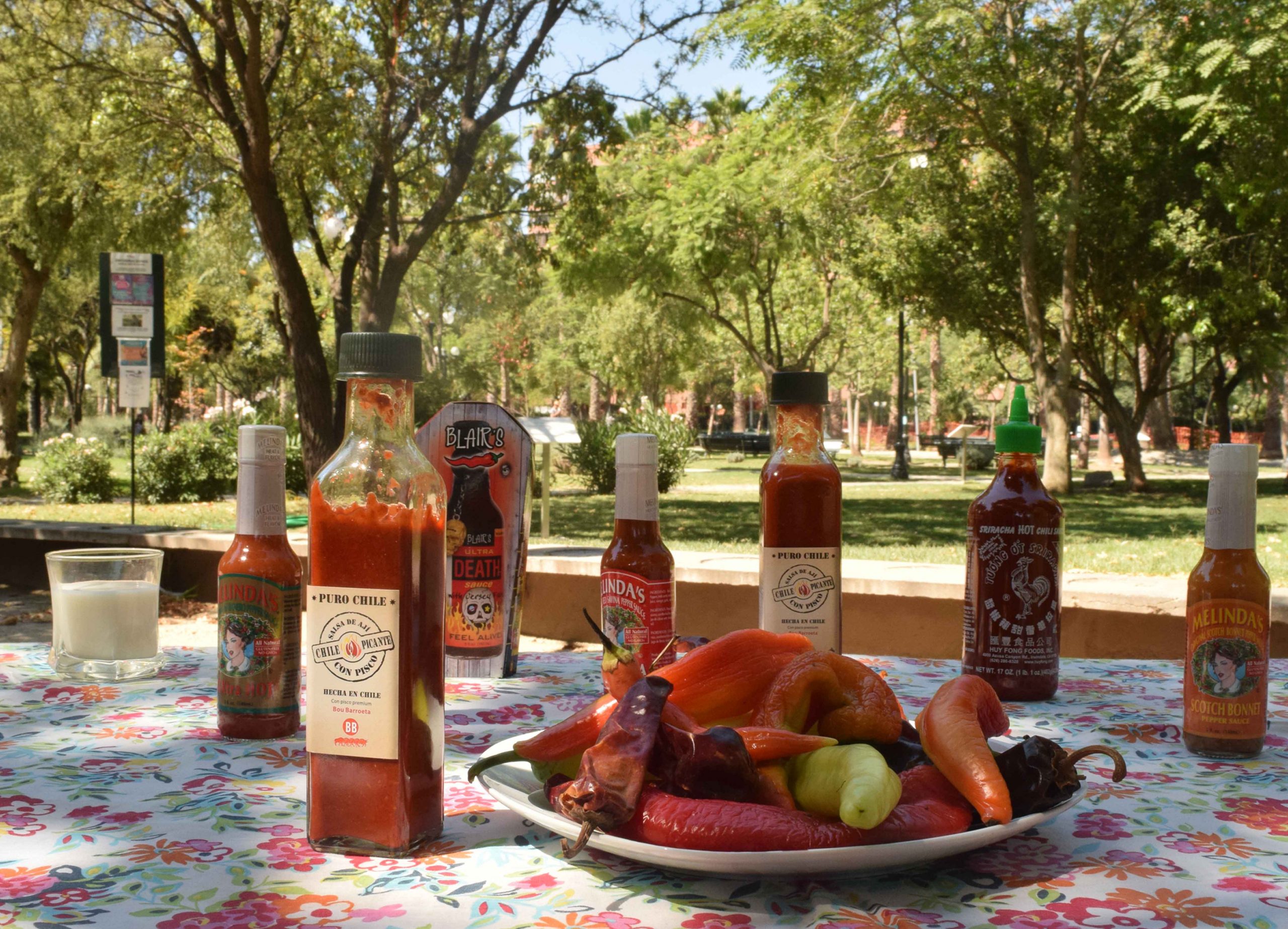 <b>🌶️ CHILEPICANTE EN FULL KITCHEN 🔥</b>