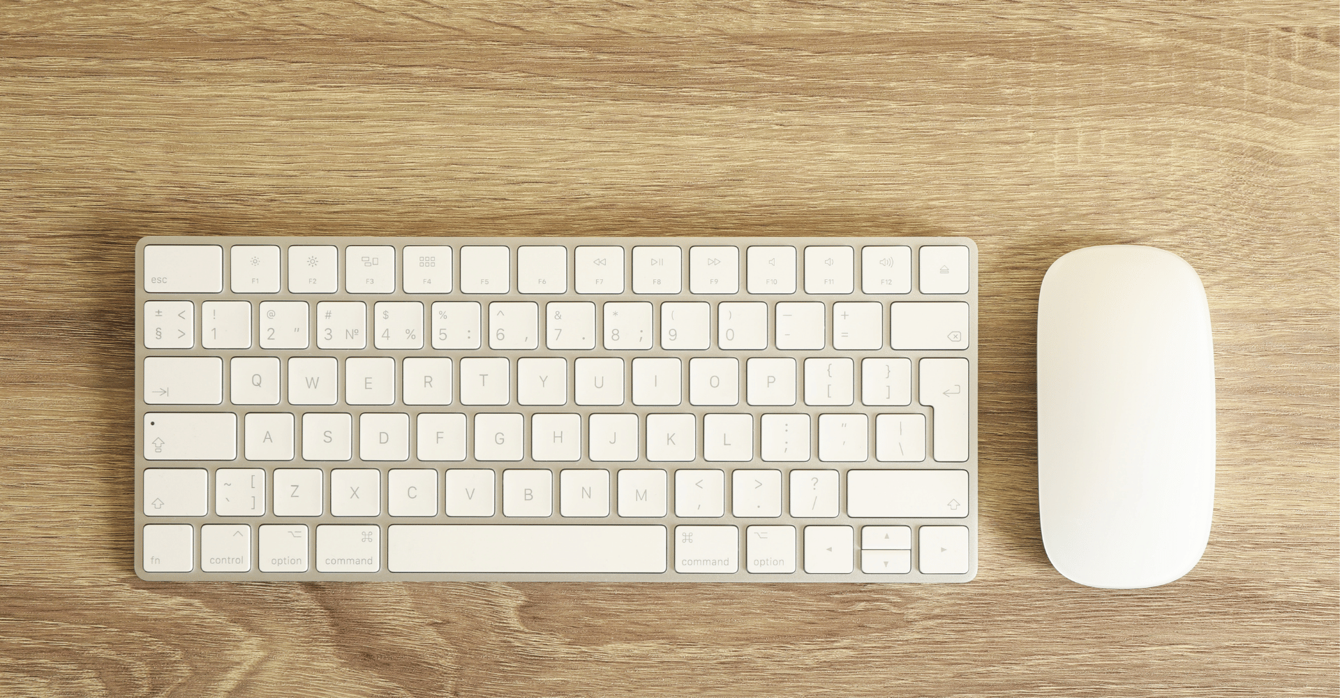 Teclados y Mouse y Ergonómicos