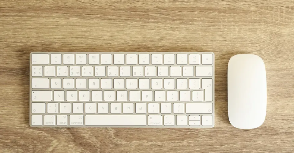 Teclados y Mouse y Ergonómicos