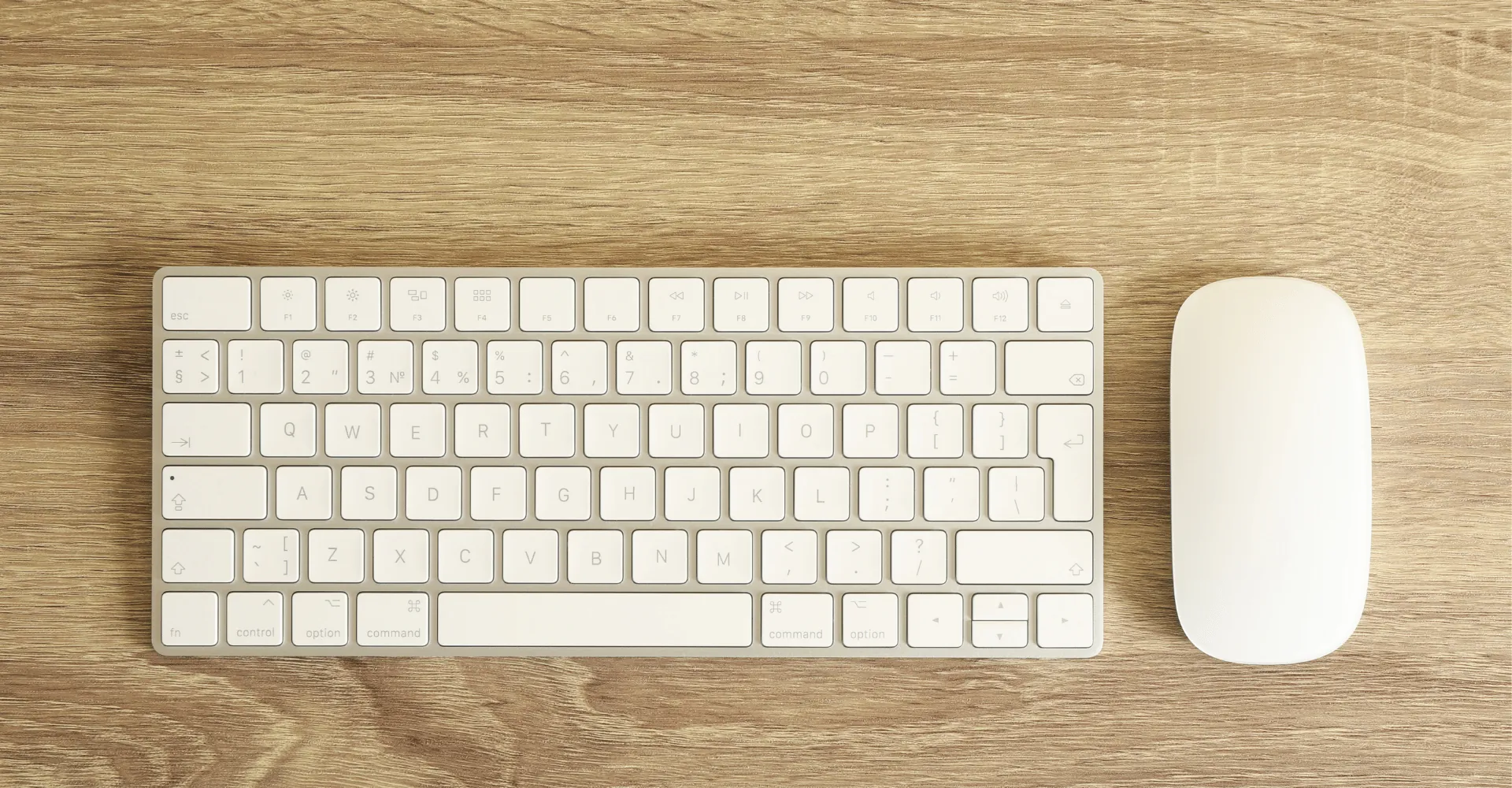 Teclados y Mouse y Ergonómicos