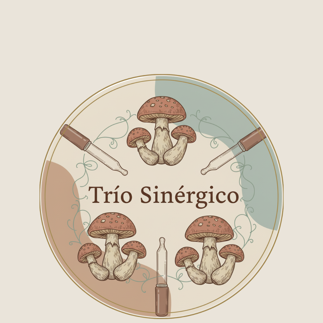 TRÍOS SINÉRGICOS