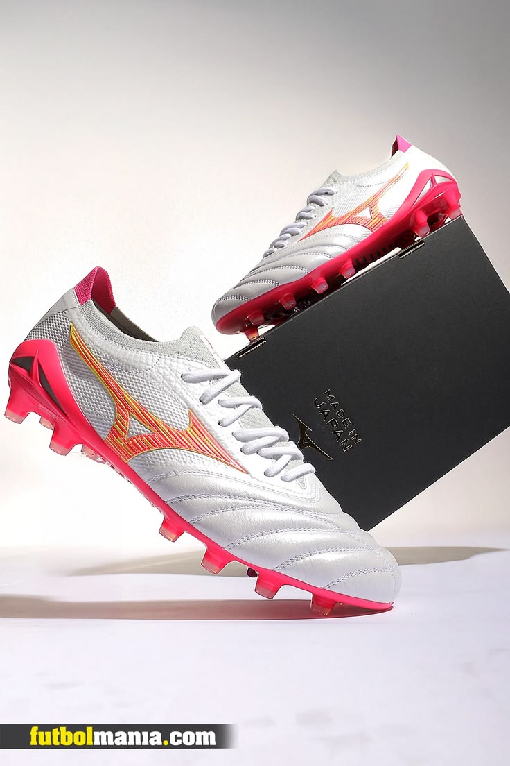 Mizuno