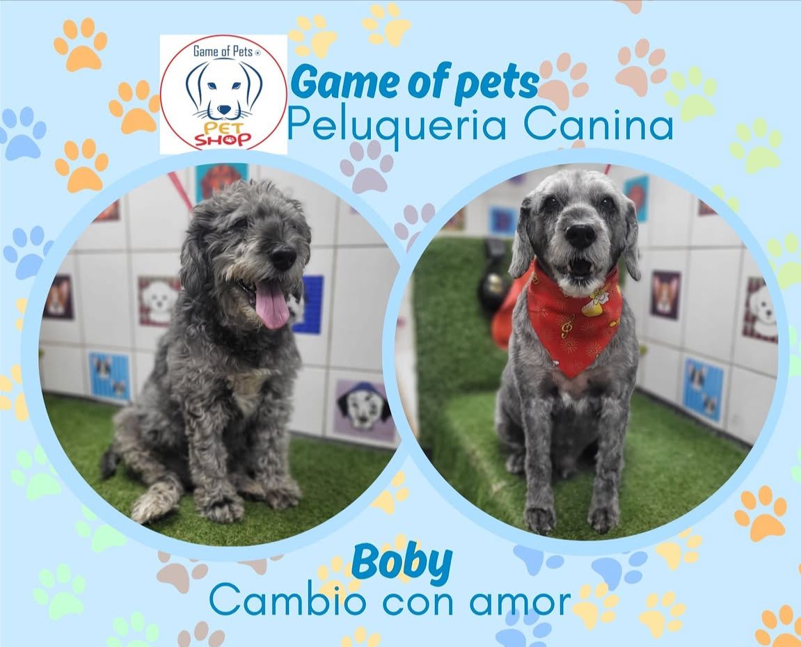 Game of Pets | Tienda de Mascotas en Puente Alto