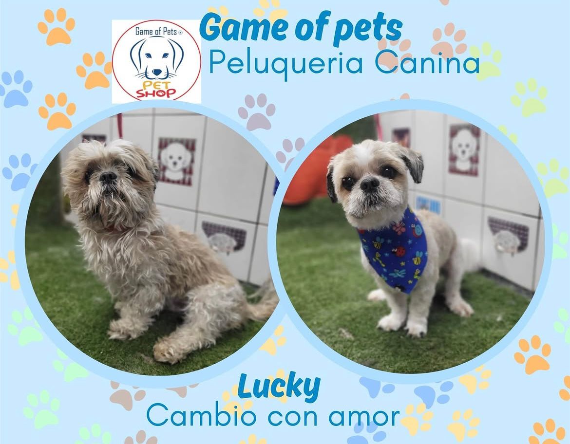 Game of Pets | Tienda de Mascotas en Puente Alto