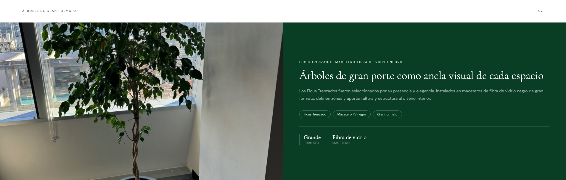 Título de la Sección
