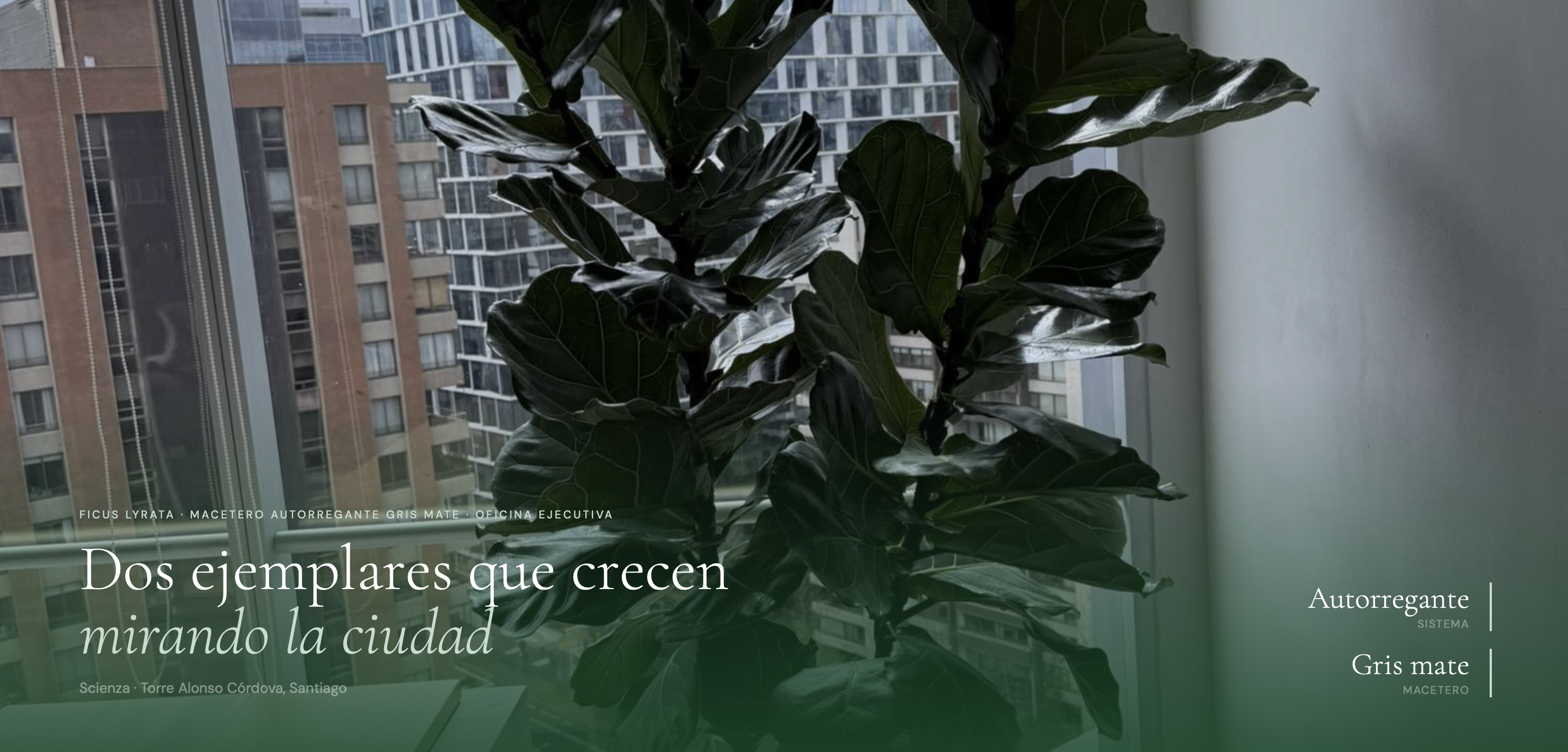 Título de la Sección