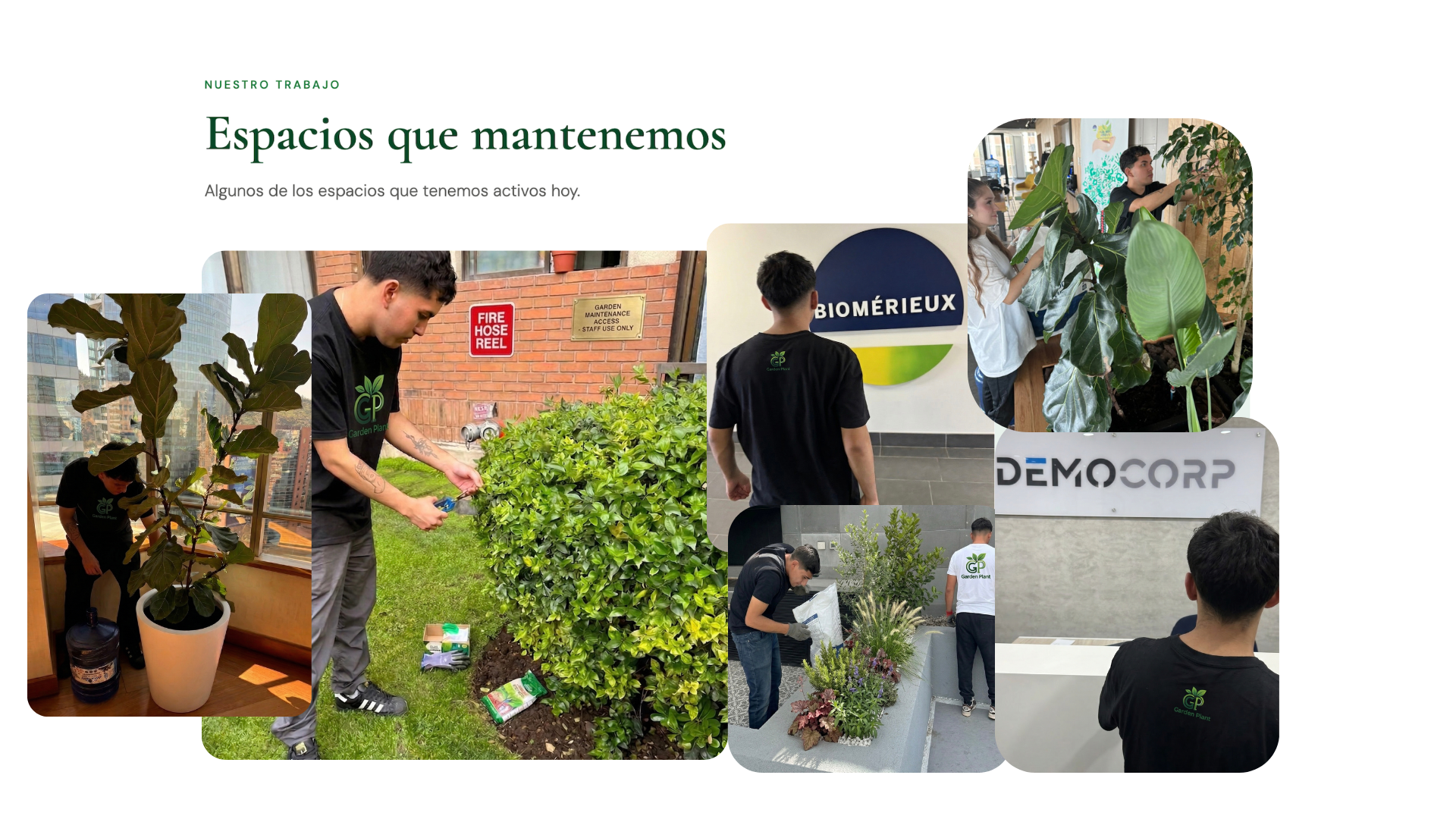 Título de la Sección