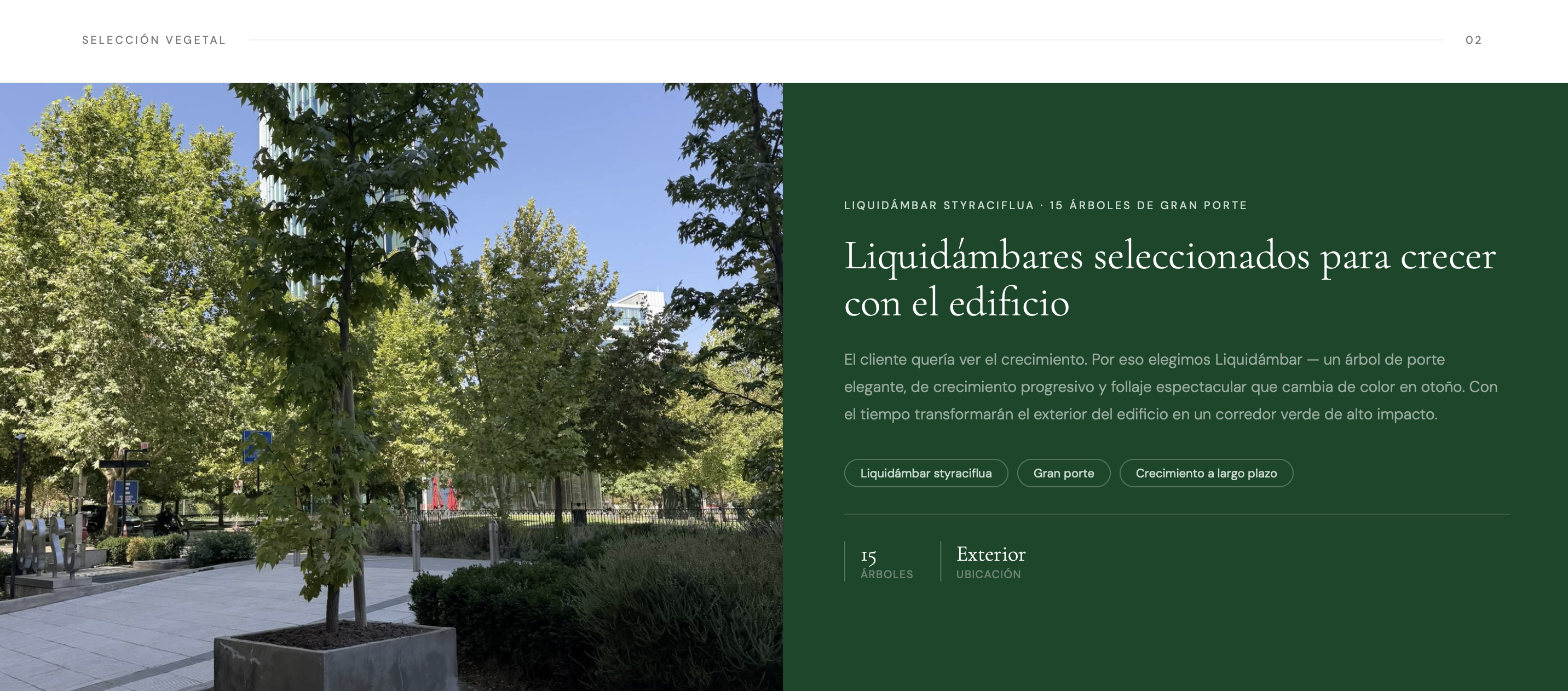 Título de la Sección