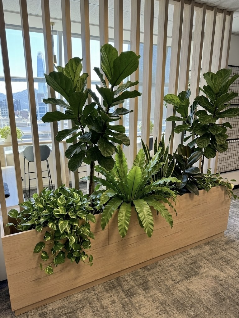 Garden Plant