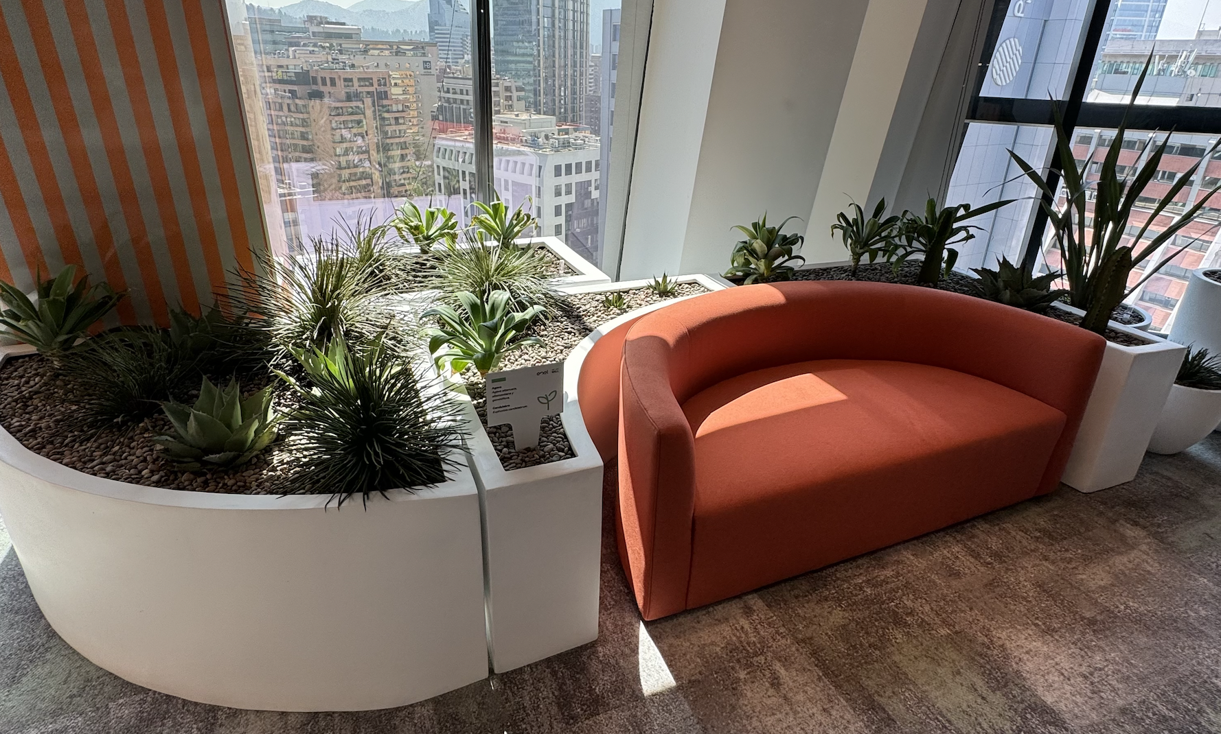 ¿Qué es la biofilia?