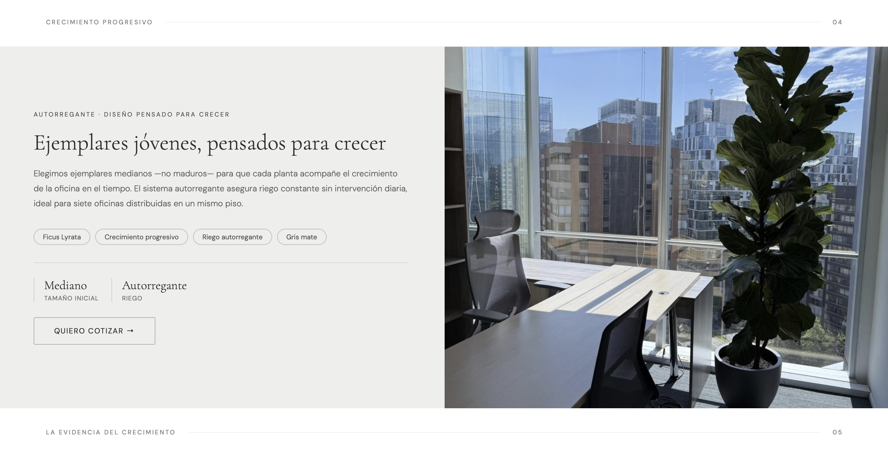 Título de la Sección