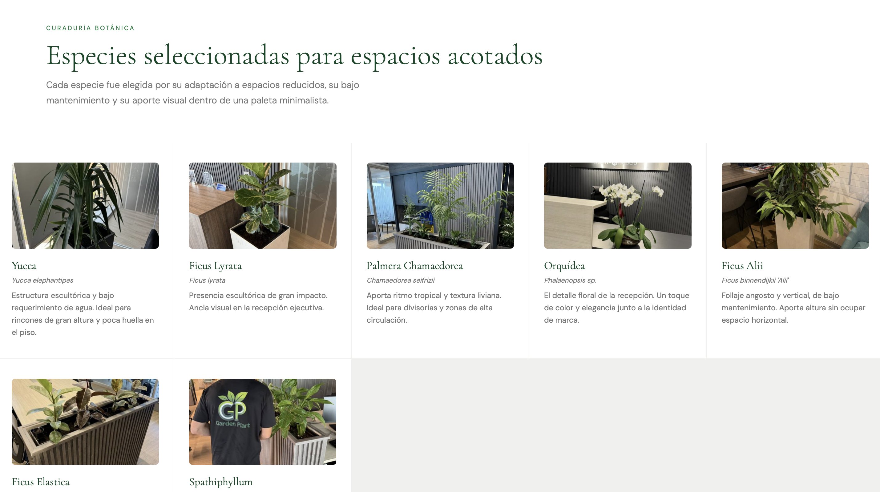 Título de la Sección