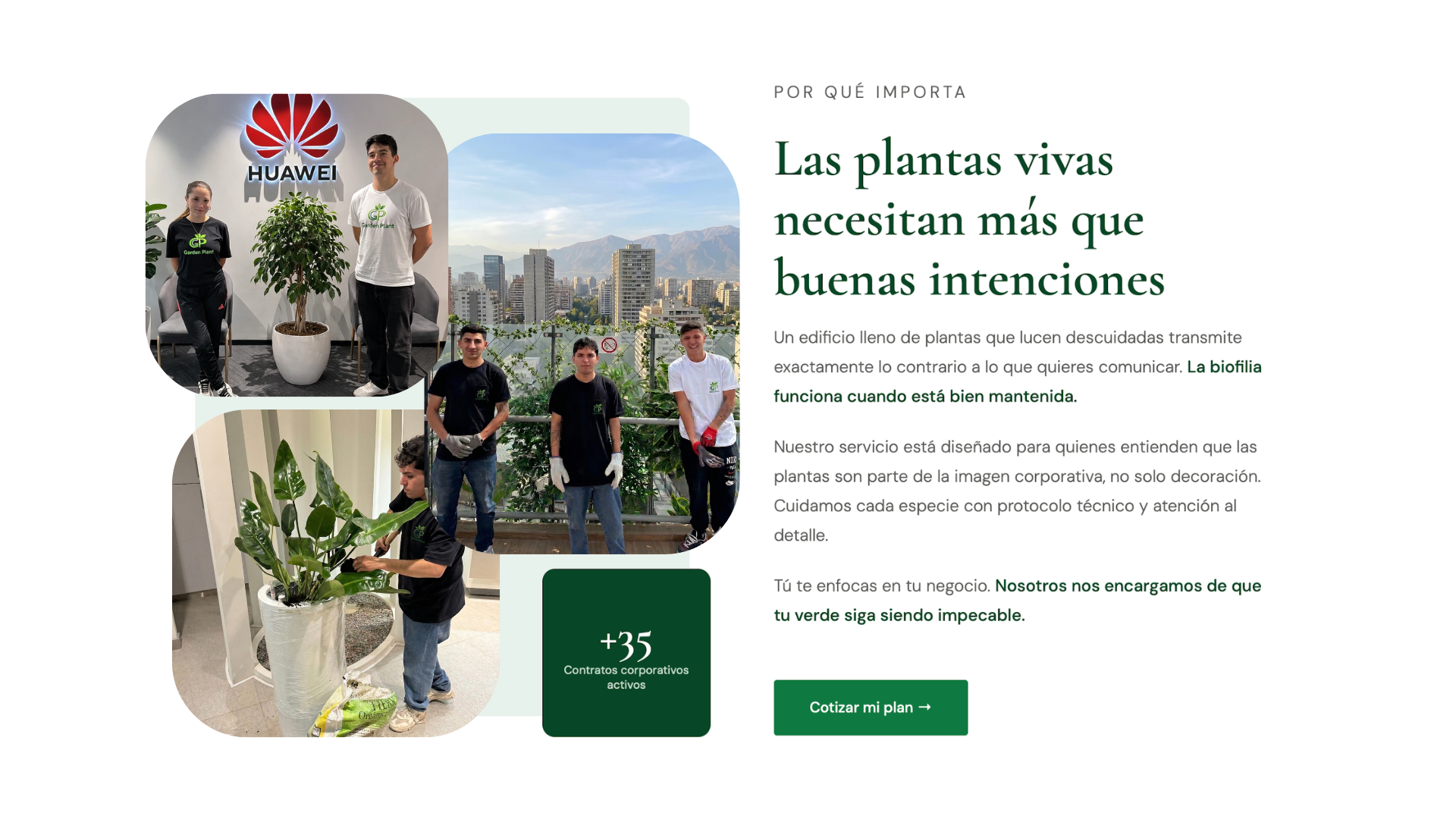 Título de la Sección