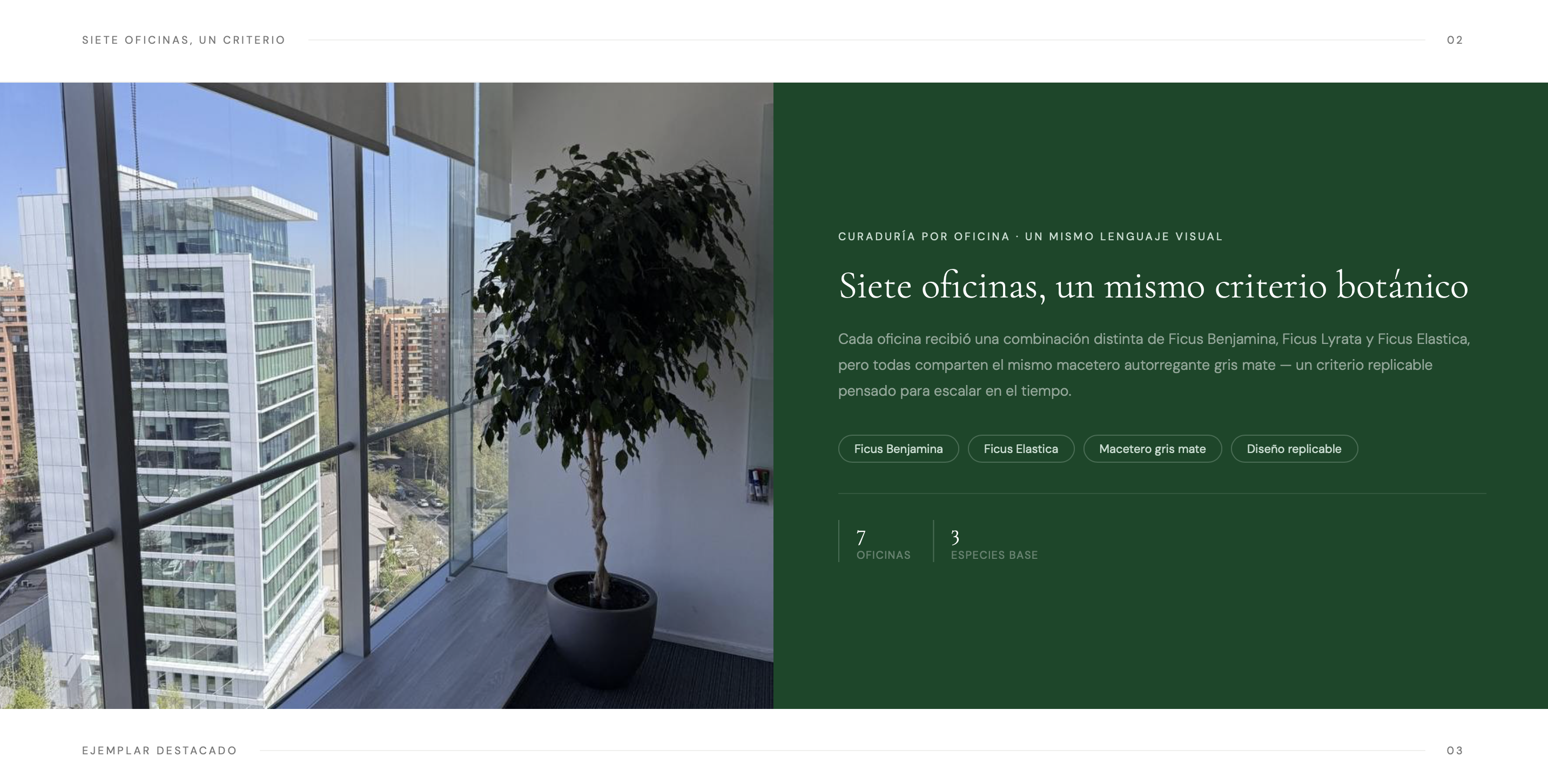 Título de la Sección
