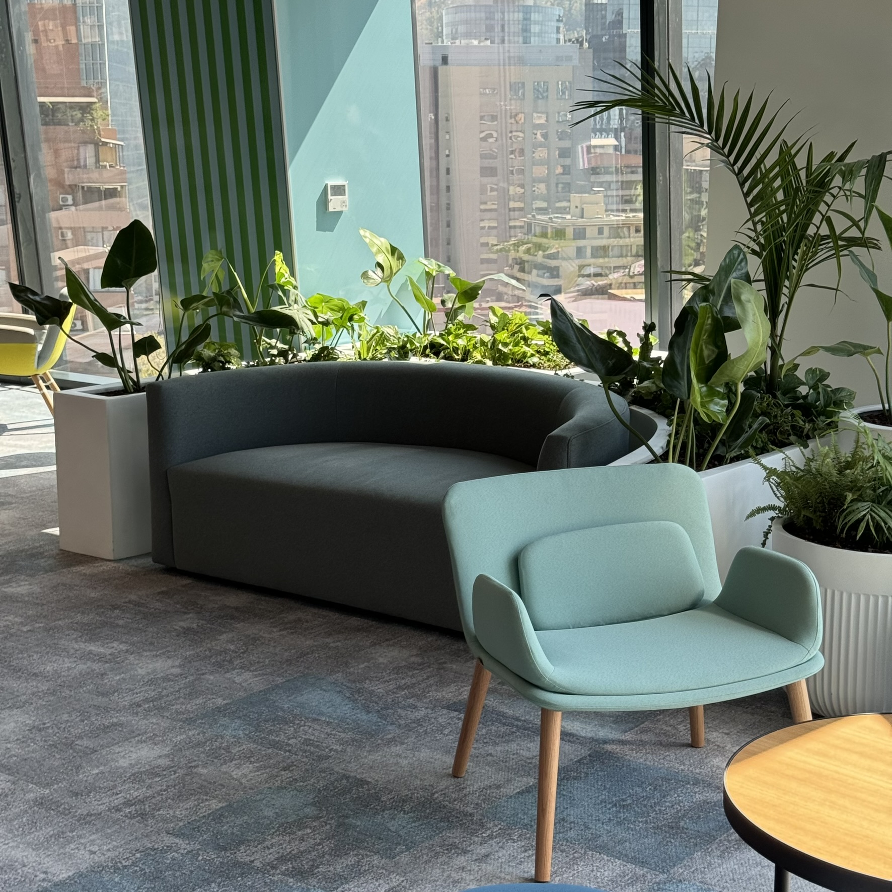 ¿Qué es la biofilia?