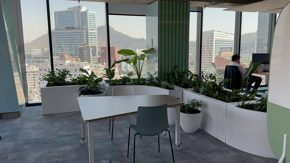 ¿Qué es la biofilia?