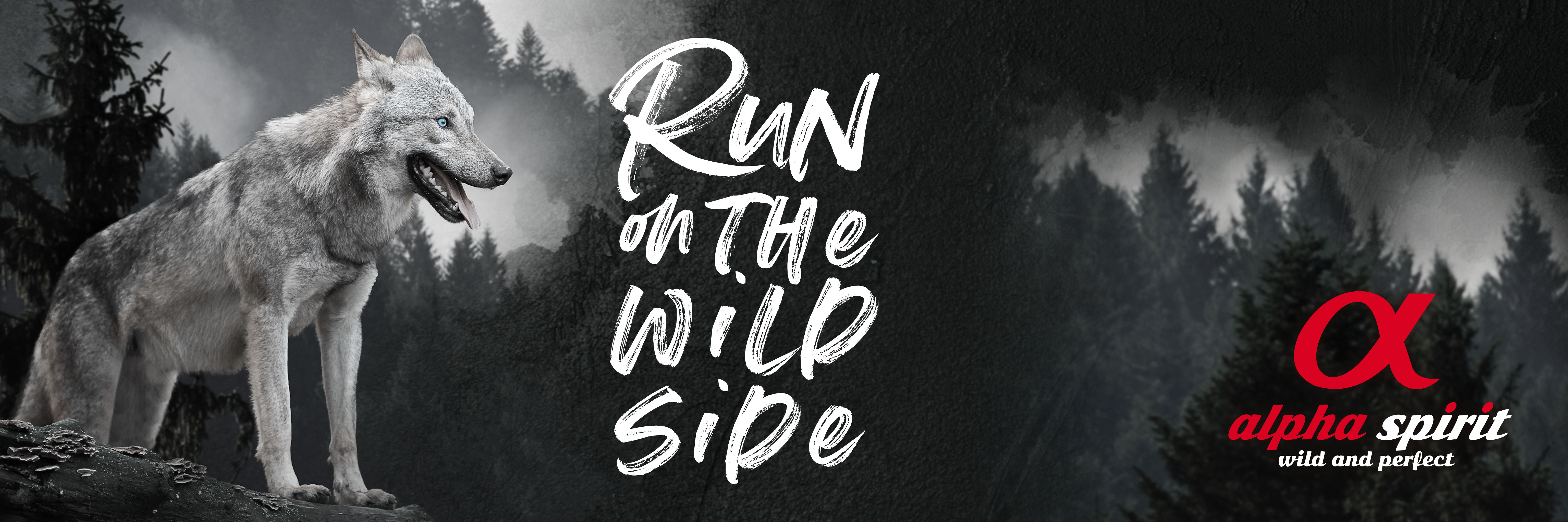 Garritas y Patitas Arica 