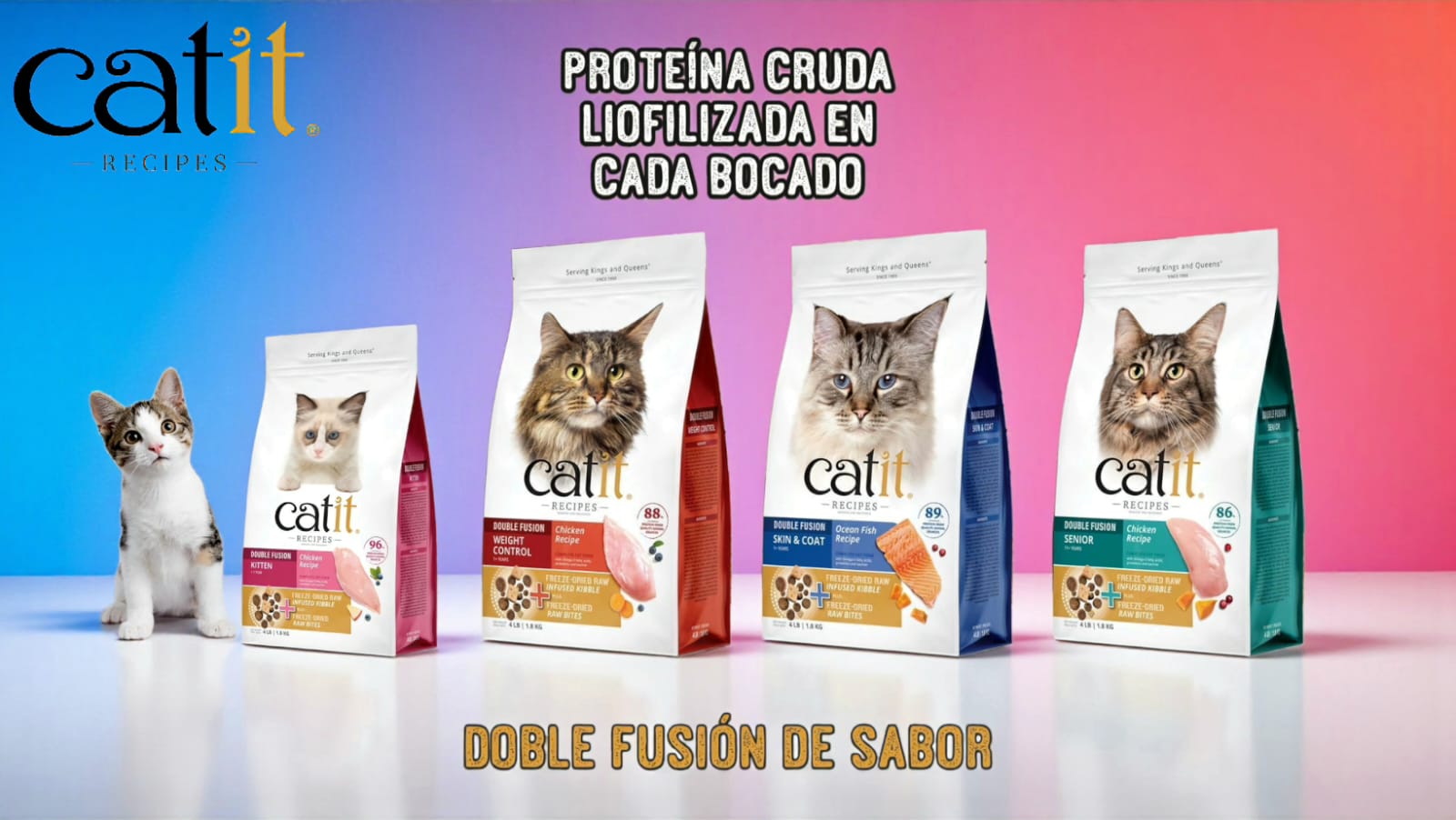 Garritas y Patitas Arica 