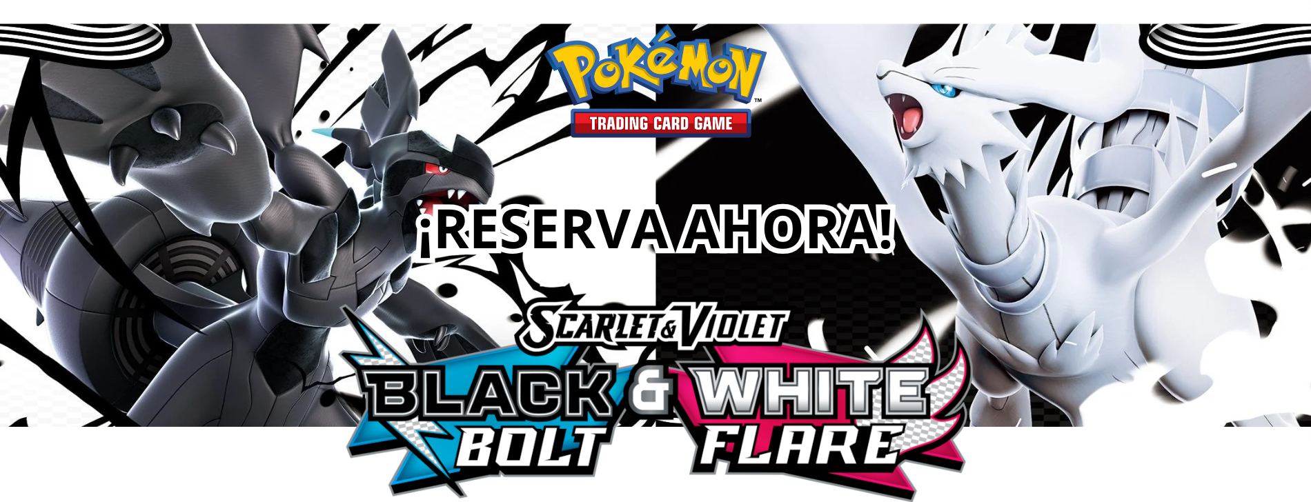 Pokémon TCG Black Bolt & White Flare