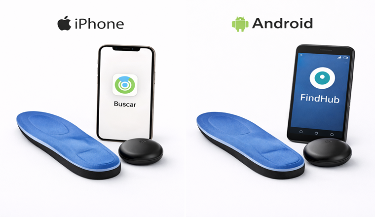 Título de la Sección