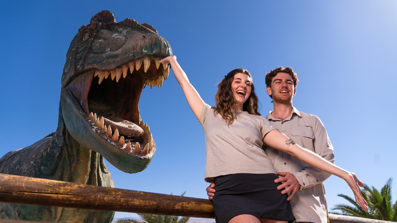 tours salitreras , pueblo de la tirana y pica