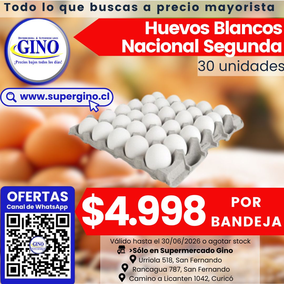 GINO