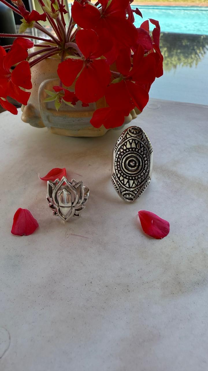 <b>Anillos&nbsp;</b><br>