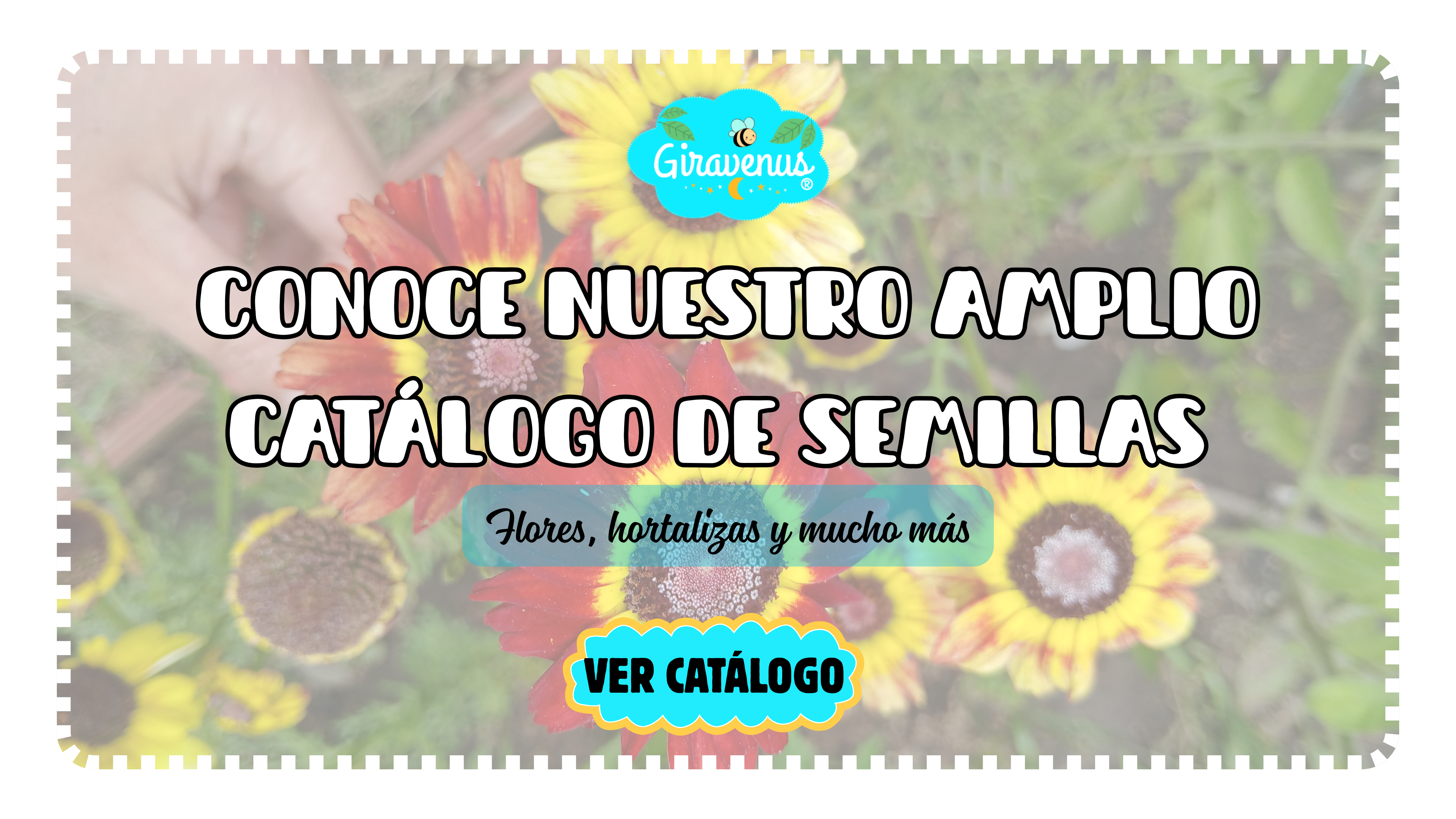 Título de la Sección