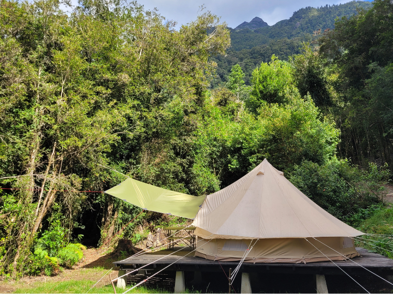 Forest Camp <br><span style="font-size: 0.7em;">Valle Cochamó </span>