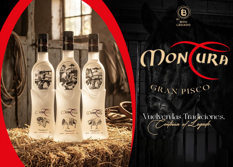 NUEVO PISCO MONTURA
