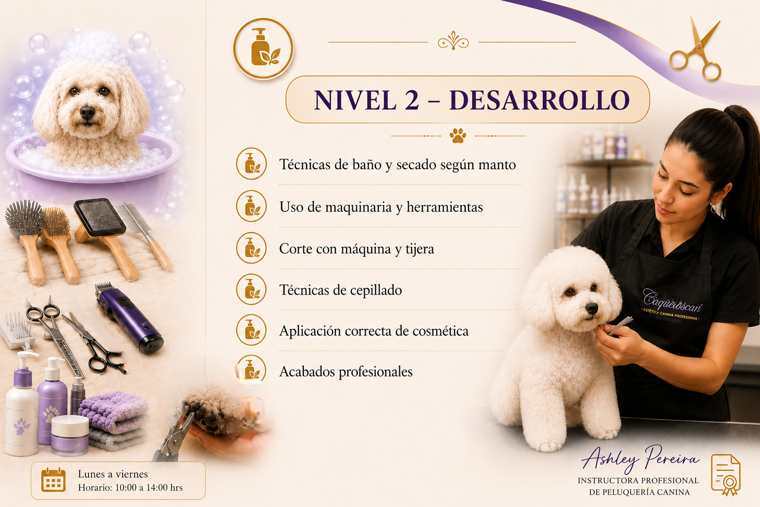 Go grooming!  Insumos de Peluquería Canina