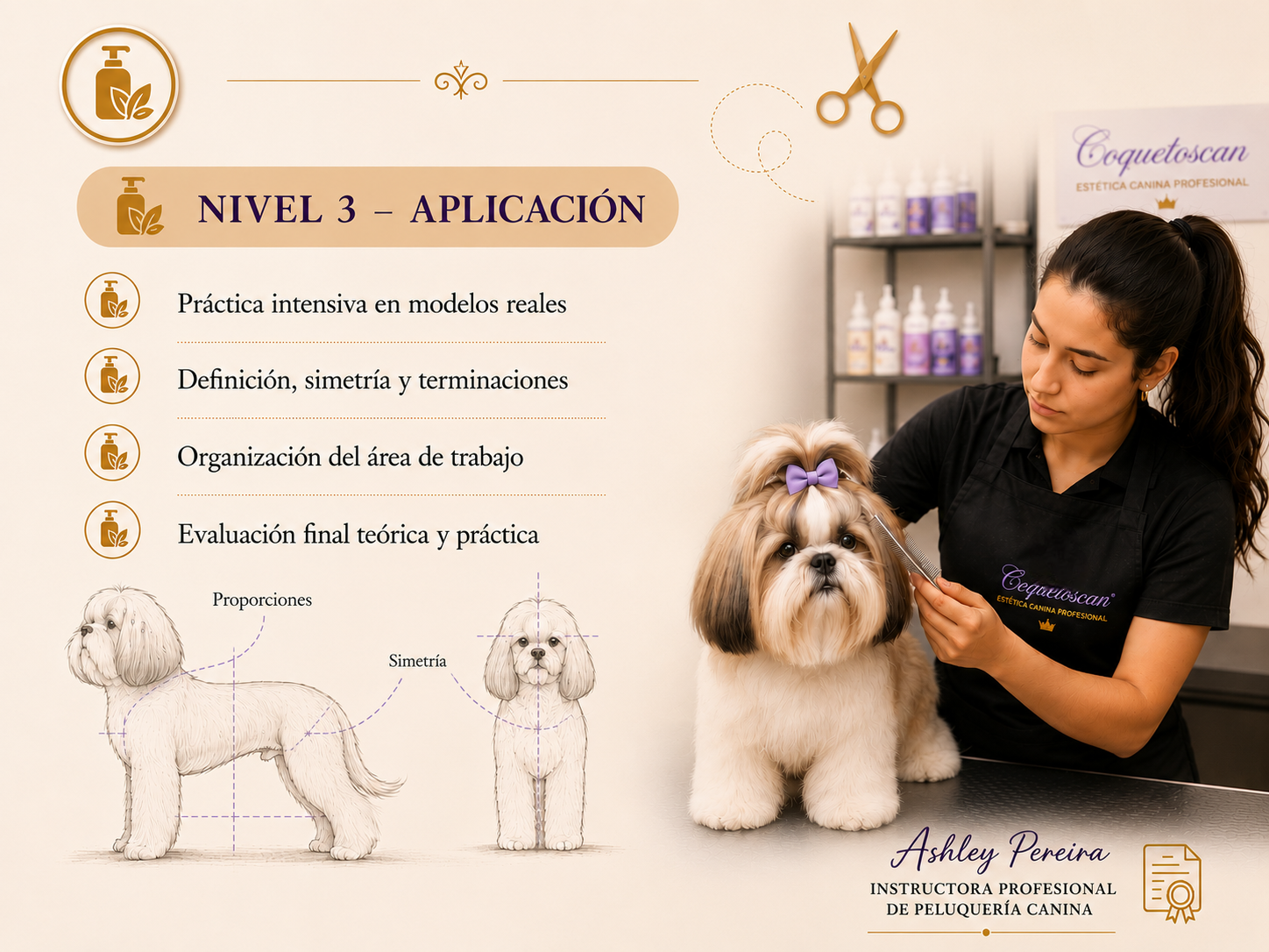 Go grooming!  Insumos de Peluquería Canina