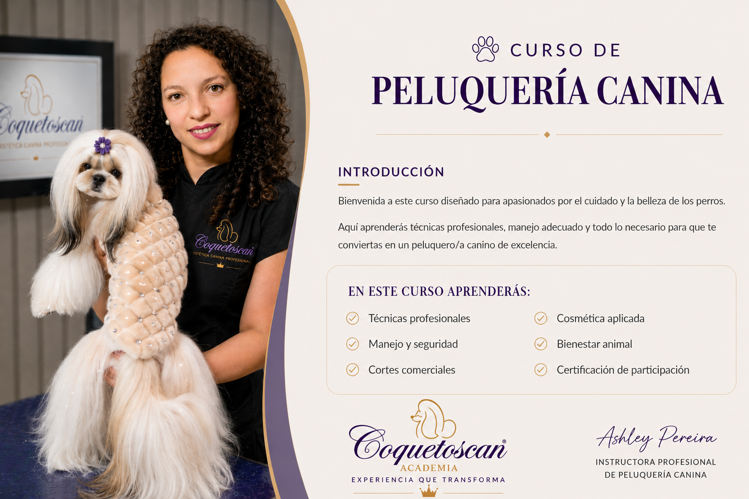 Go grooming!  Insumos de Peluquería Canina