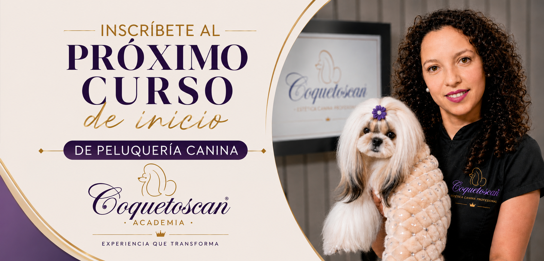 Go grooming!  Insumos de Peluquería Canina