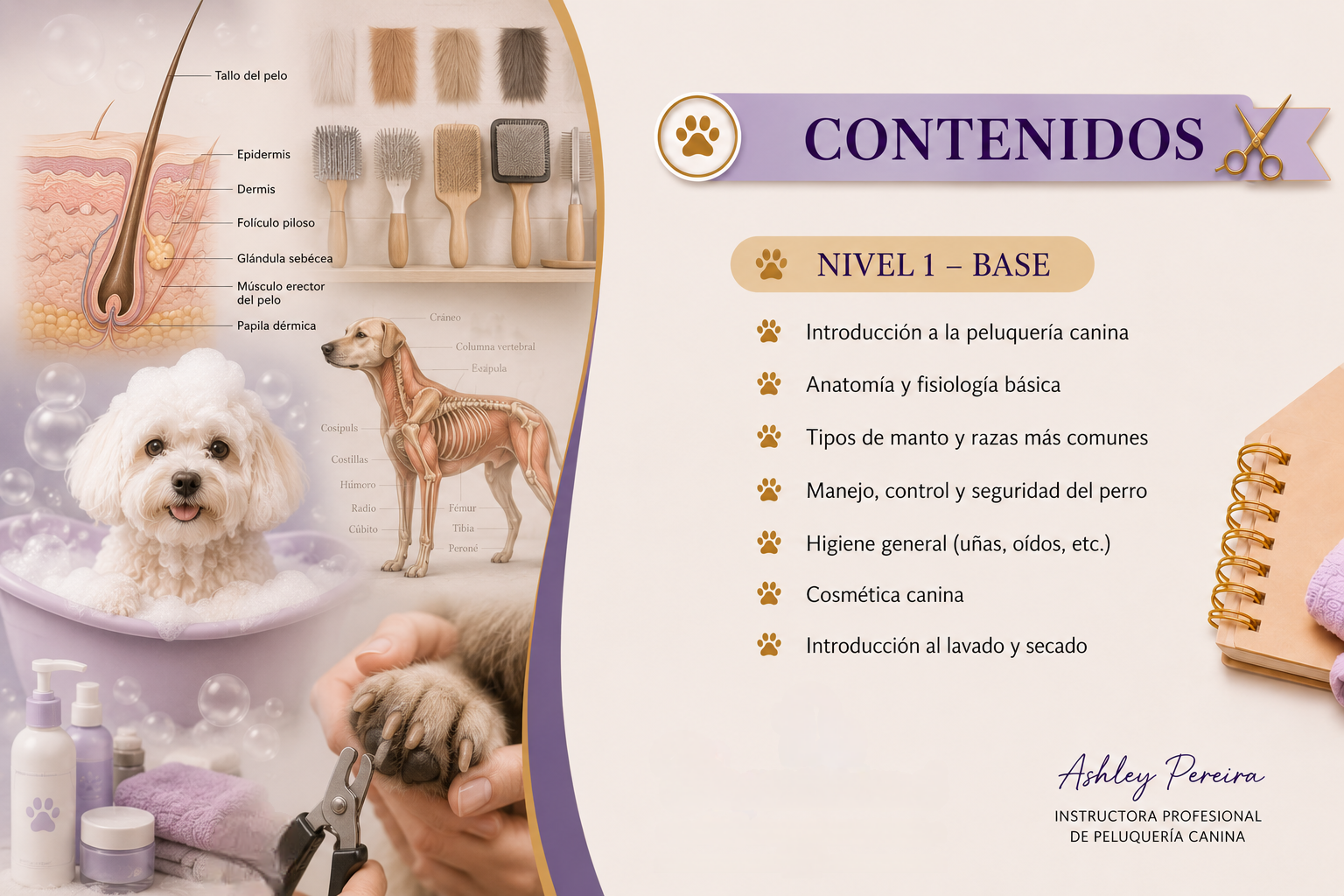 Go grooming!  Insumos de Peluquería Canina
