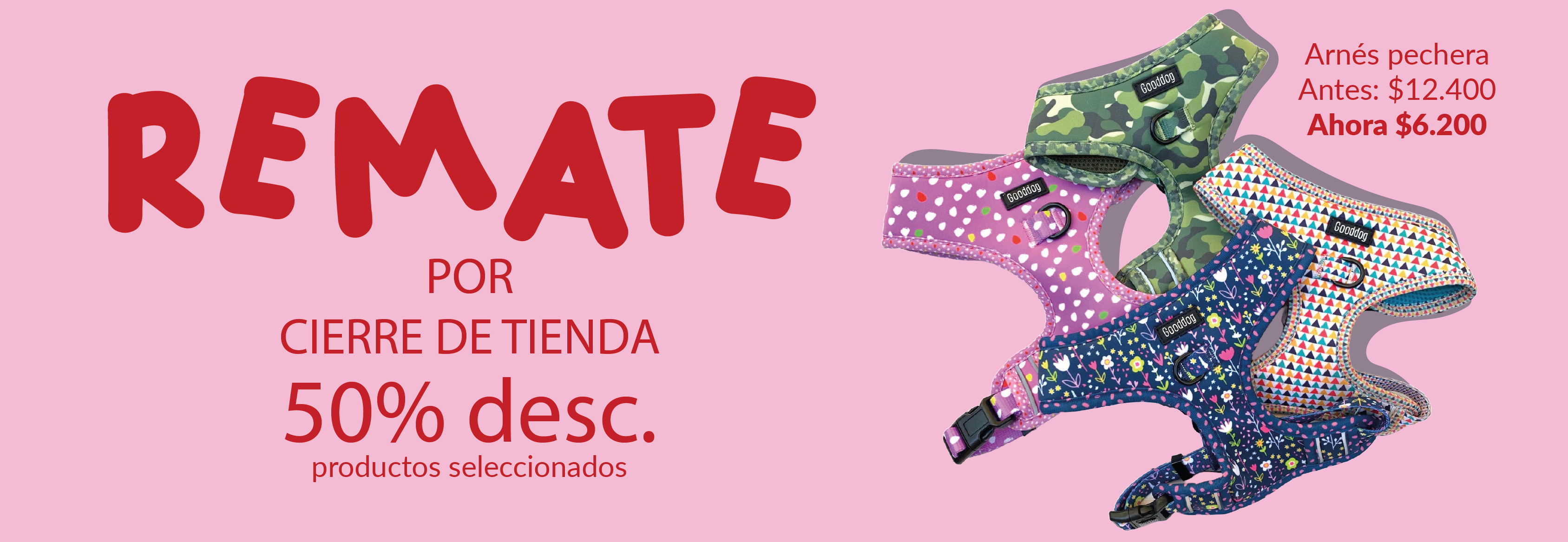 Título de la slide