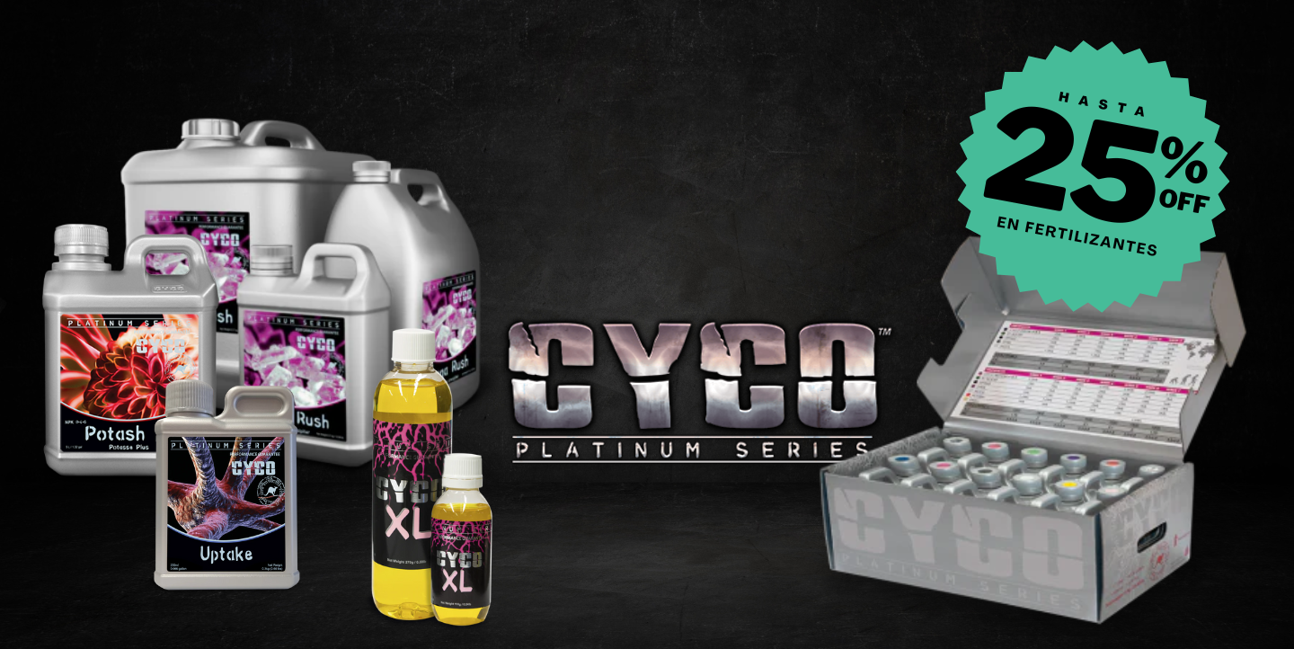 Ofertas & Descuentos