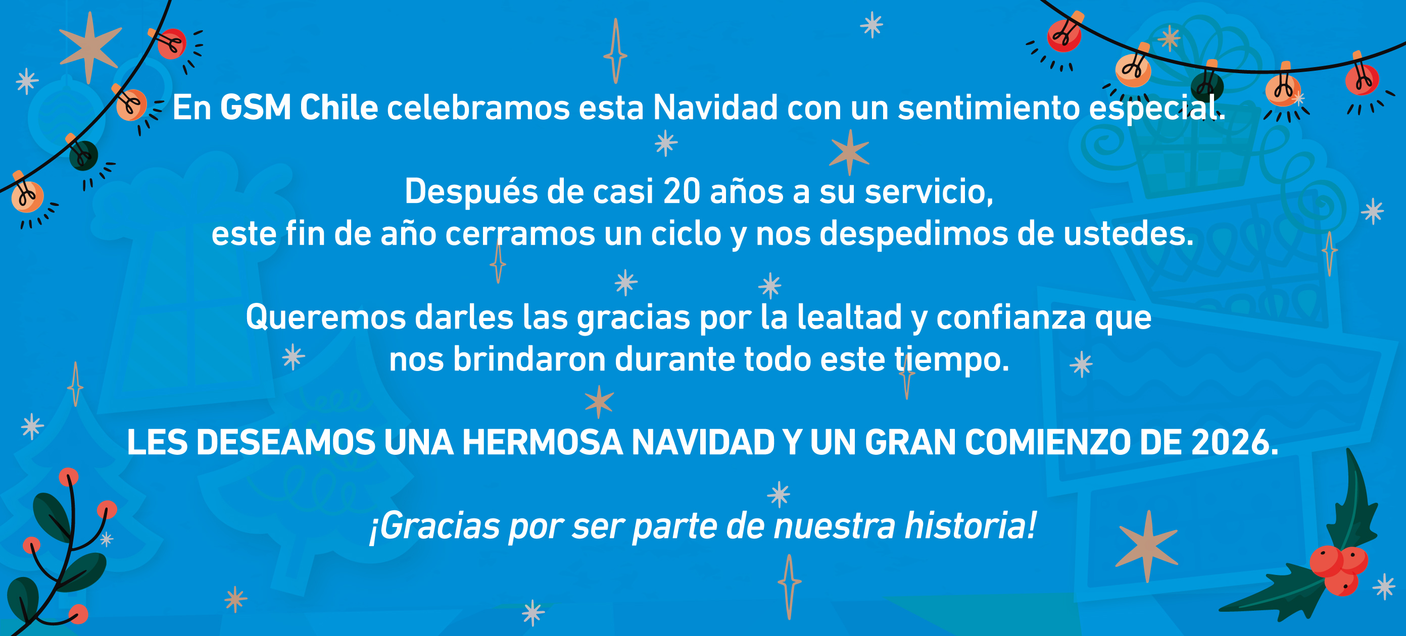 GSM Chile - Mayorista