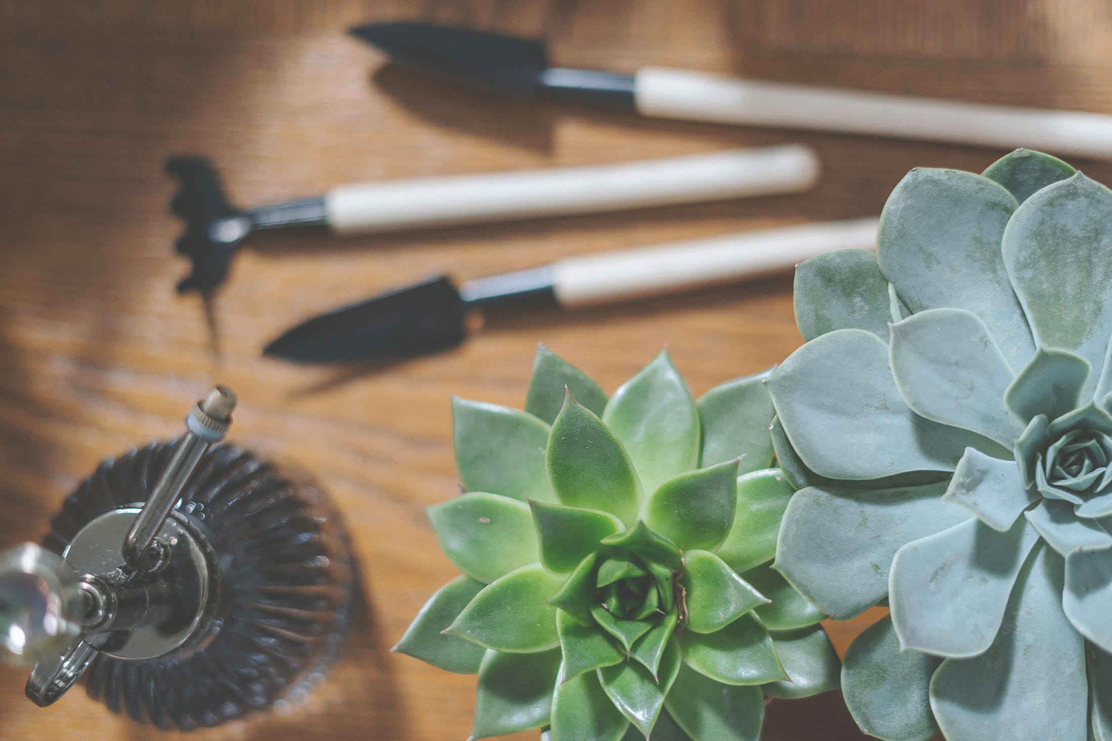 Sustratos Accesorios para plantas