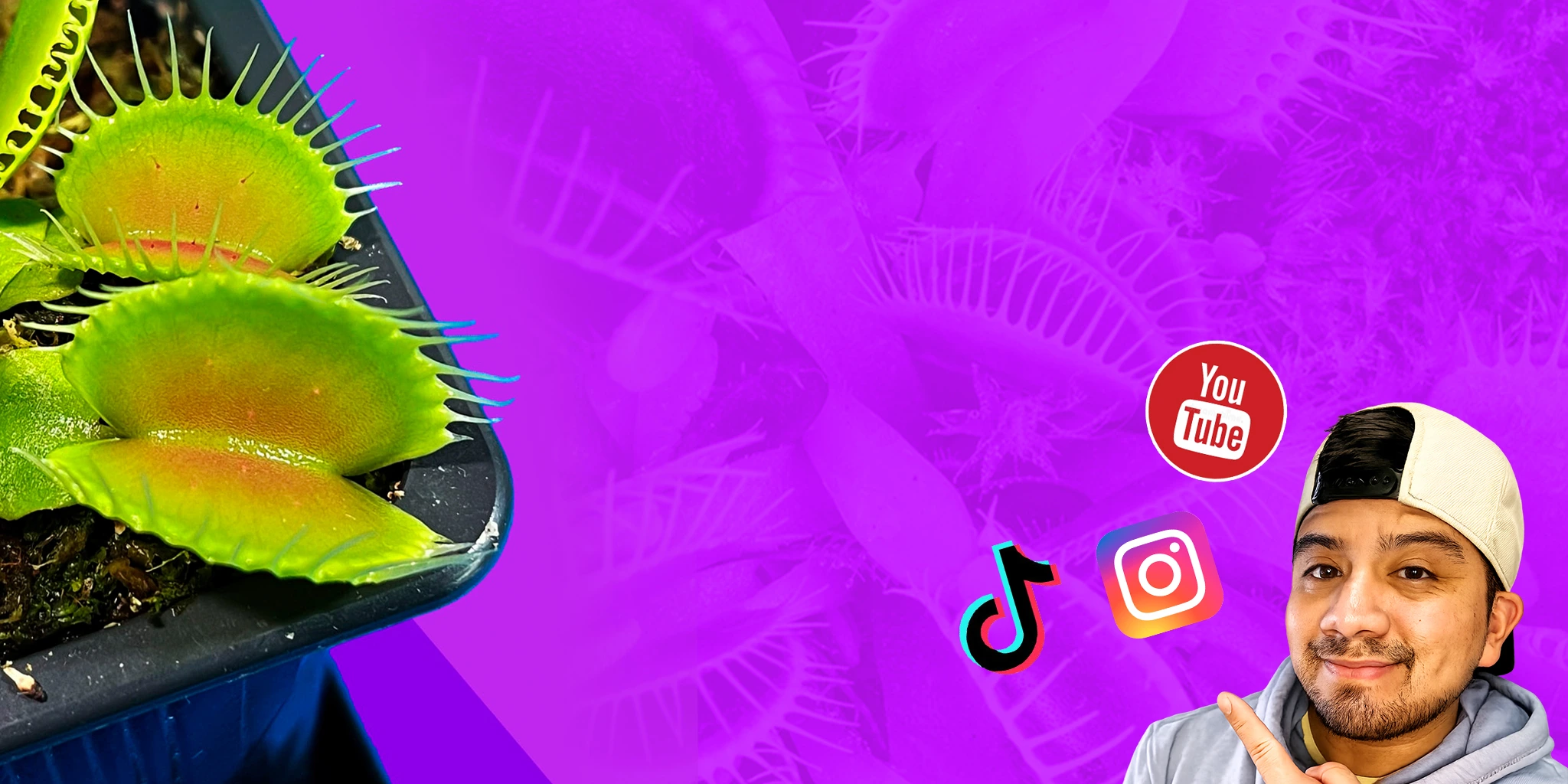 Venta de plantas carnivoras