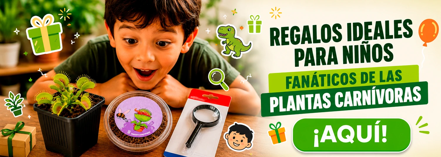 regalo dia del niño